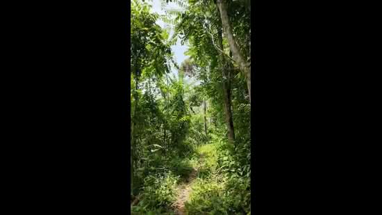 Tanah Pertanian untuk Dijual di Taman Kuala Kangsar (Kuala Kangsar) - Cherie Chong - PropertyGuru.com.my