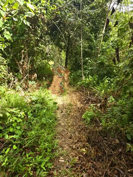 Tanah Pertanian untuk Dijual di Taman Kuala Kangsar (Kuala Kangsar) - Cherie Chong - PropertyGuru.com.my