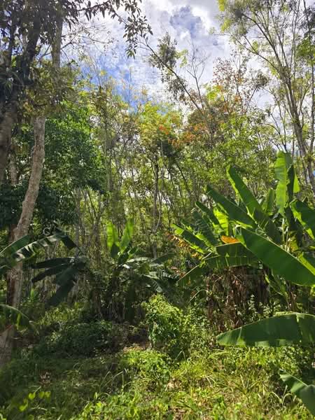 Tanah Pertanian untuk Dijual di Taman Kuala Kangsar (Kuala Kangsar) - Cherie Chong - PropertyGuru.com.my