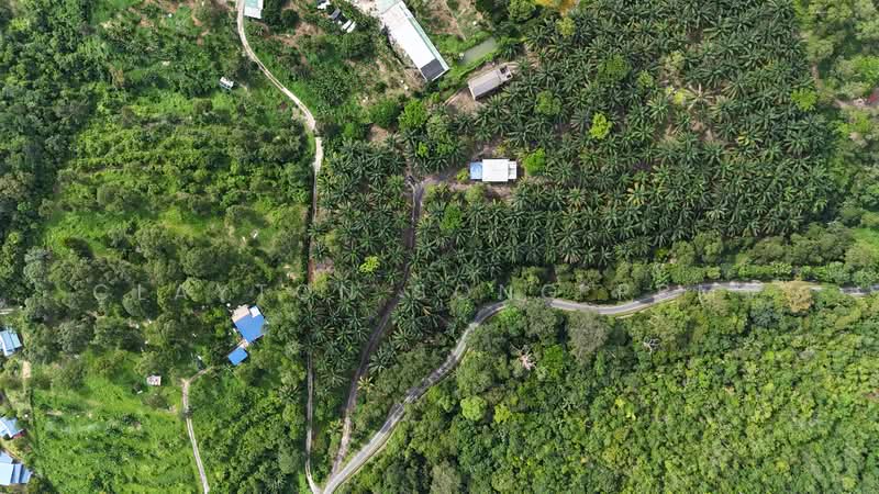 Agricultural Land for Sale in Pantai (Negeri Sembilan) - Clayton Song PBMV - Exterior - PropertyGuru.com.my