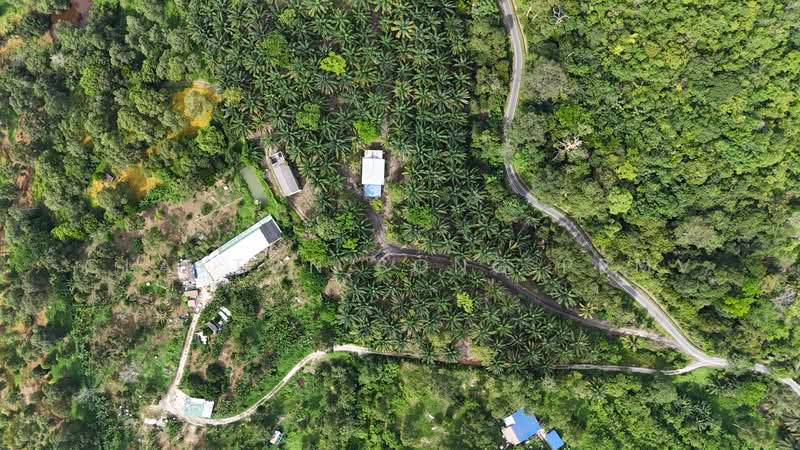 Agricultural Land for Sale in Pantai (Negeri Sembilan) - Clayton Song PBMV - Exterior - PropertyGuru.com.my