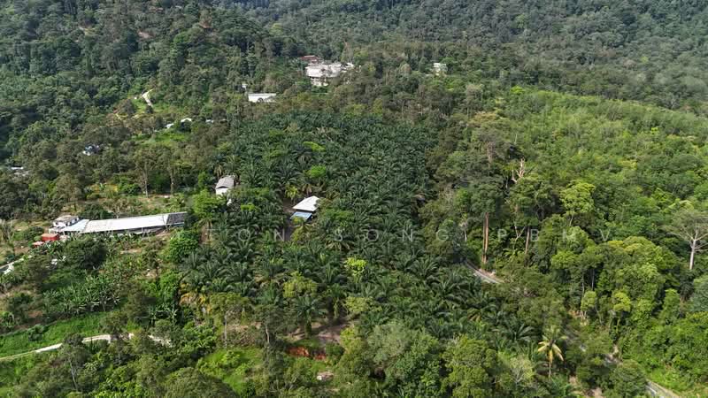 Agricultural Land for Sale in Pantai (Negeri Sembilan) - Clayton Song PBMV - Exterior - PropertyGuru.com.my