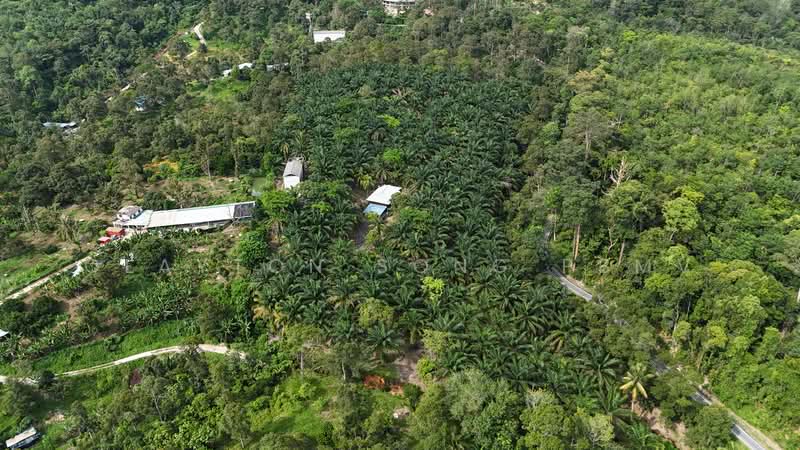 Agricultural Land for Sale in Pantai (Negeri Sembilan) - Clayton Song PBMV - Exterior - PropertyGuru.com.my