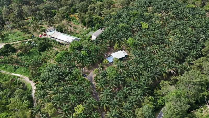 Agricultural Land for Sale in Pantai (Negeri Sembilan) - Clayton Song PBMV - Exterior - PropertyGuru.com.my