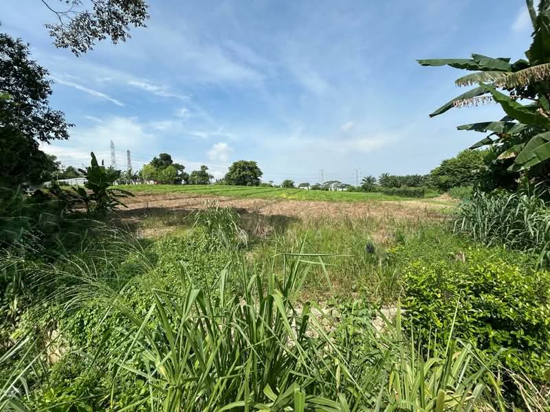 Tanah Pertanian untuk Dijual di Permas Jaya (Johor Bahru) - Tryphaena Tan - Exterior - PropertyGuru.com.my