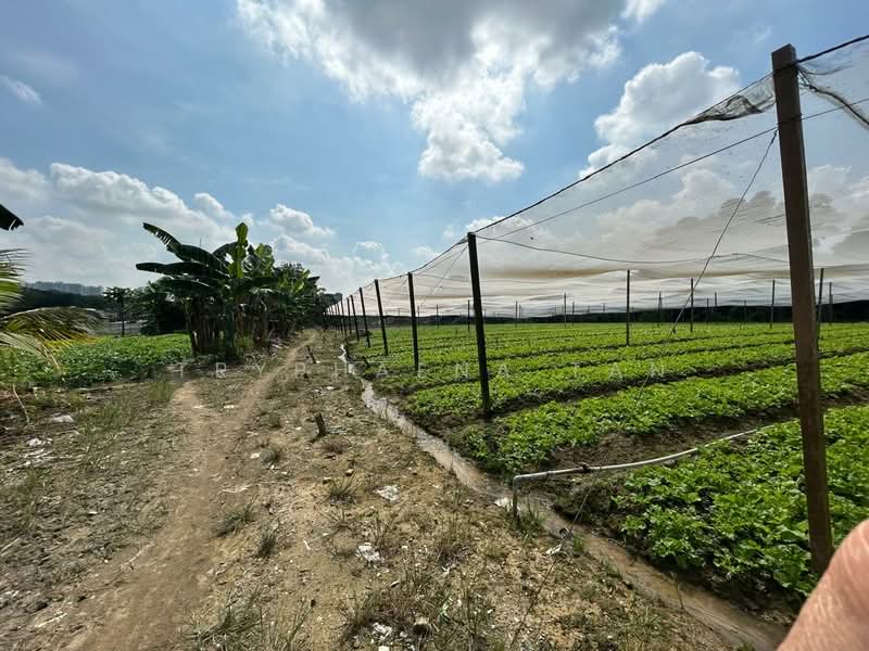 Tanah Pertanian untuk Dijual di Permas Jaya (Johor Bahru) - Tryphaena Tan - Exterior - PropertyGuru.com.my