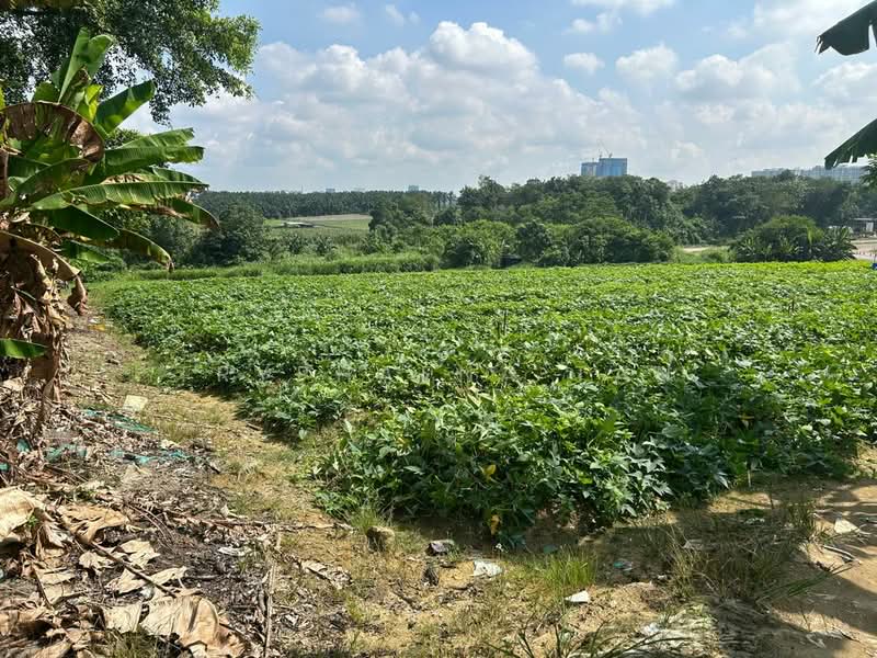 Tanah Pertanian untuk Dijual di Permas Jaya (Johor Bahru) - Tryphaena Tan - Exterior - PropertyGuru.com.my