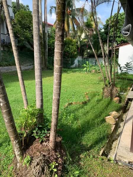 Rumah Berkembar untuk Dijual di Damansara Heights (Kuala Lumpur) - Reena Sarif - Garden - PropertyGuru.com.my
