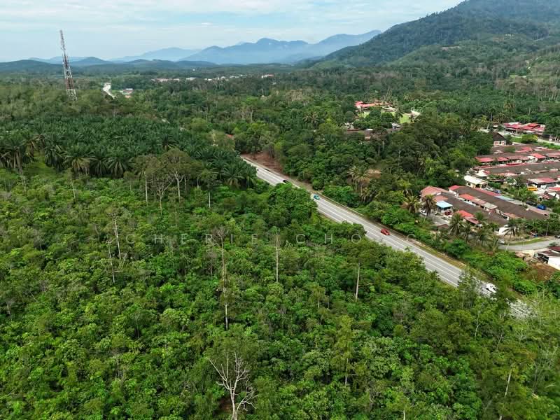 Tanah Pertanian untuk Dijual di Kuala Kangsar (Perak) - Cherie Chong - PropertyGuru.com.my