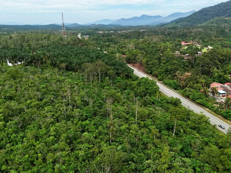 Tanah Pertanian untuk Dijual di Kuala Kangsar (Perak) - Cherie Chong - PropertyGuru.com.my