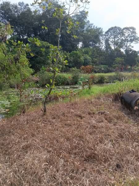Tanah Pertanian untuk Dijual di Kemensah Heights (Ulu Kelang) - Mahenthiran . - PropertyGuru.com.my