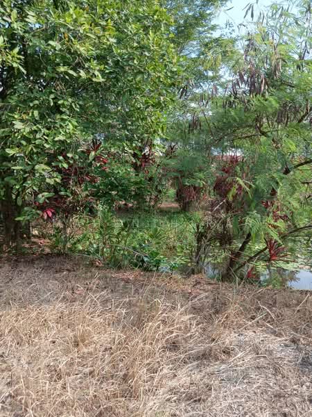 Tanah Pertanian untuk Dijual di Kemensah Heights (Ulu Kelang) - Mahenthiran . - PropertyGuru.com.my
