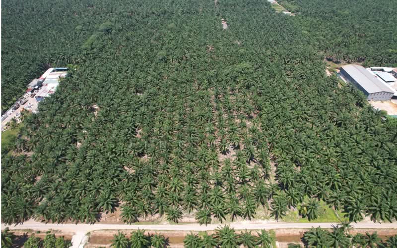 Industrial Land for Sale in Jeram (Selangor) - Jing Foo - PropertyGuru.com.my