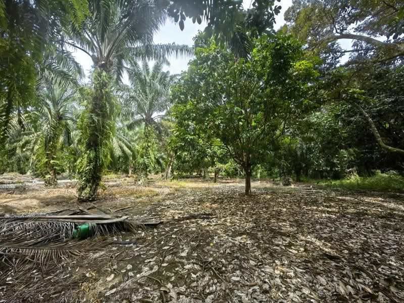 Tanah Pertanian untuk Dijual di Kulai (Johor) - CS Tan - Garden - PropertyGuru.com.my