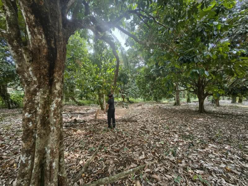 Tanah Pertanian untuk Dijual di Kulai (Johor) - CS Tan - Exterior - PropertyGuru.com.my