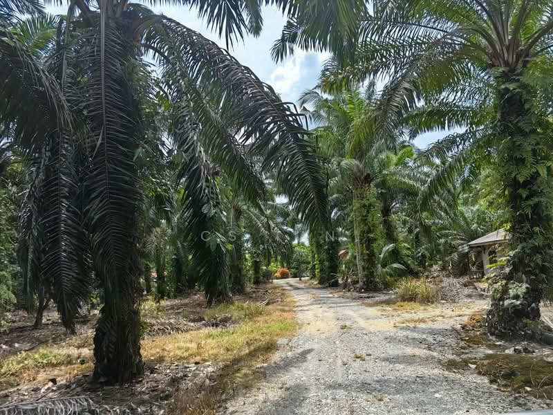 Tanah Pertanian untuk Dijual di Kulai (Johor) - CS Tan - Exterior - PropertyGuru.com.my