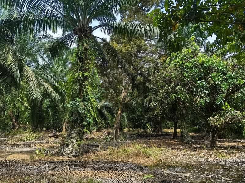Tanah Pertanian untuk Dijual di Kulai (Johor) - CS Tan - Garden - PropertyGuru.com.my