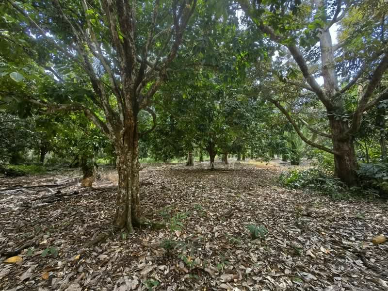 Tanah Pertanian untuk Dijual di Kulai (Johor) - CS Tan - Garden - PropertyGuru.com.my
