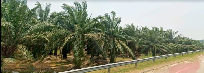 Tanah Pertanian untuk Dijual di Kulai (Johor) - CS Tan - PropertyGuru.com.my