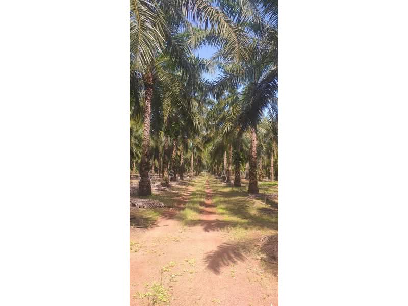 Tanah Pertanian untuk Dijual di Kulai (Johor) - CS Tan - PropertyGuru.com.my