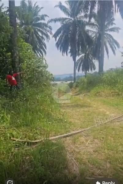 Tanah Pertanian untuk Dijual di Rawang (Selangor) - Winnie Lum - Exterior - PropertyGuru.com.my