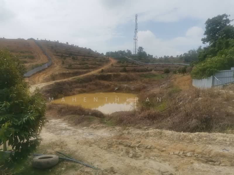 Agricultural Land for Sale in Karak (Pahang) - Mahenthiran . - PropertyGuru.com.my