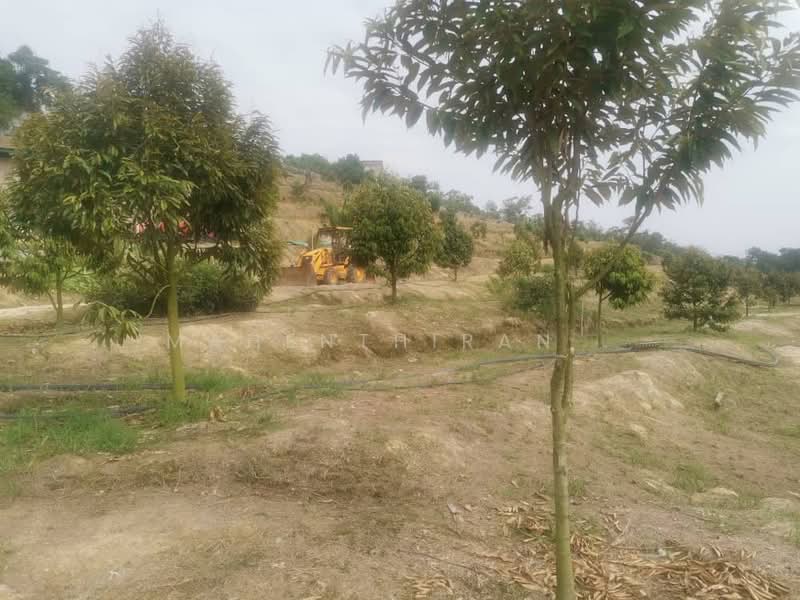 Agricultural Land for Sale in Karak (Pahang) - Mahenthiran . - PropertyGuru.com.my