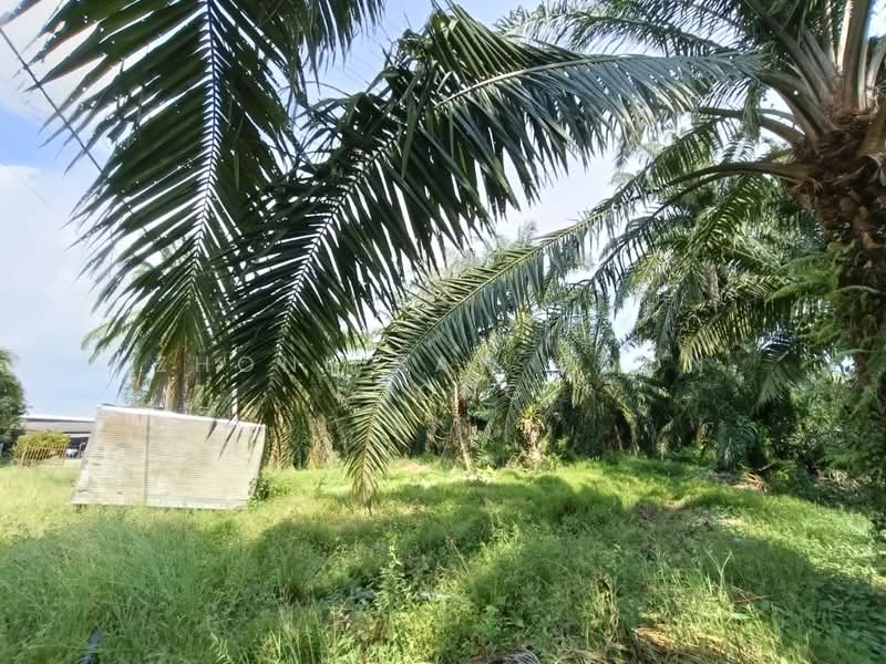 Industrial Land for Sale in Valdor (Sungai Jawi) - Zhonl Saw Boon Loong - Garden - PropertyGuru.com.my