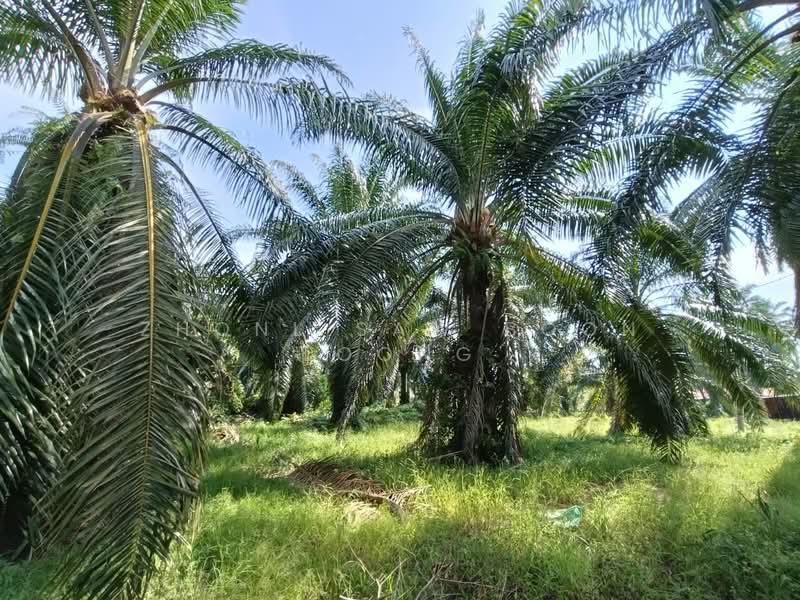 Industrial Land for Sale in Valdor (Sungai Jawi) - Zhonl Saw Boon Loong - Exterior - PropertyGuru.com.my