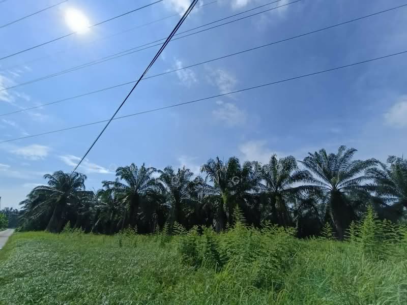 Industrial Land for Sale in Valdor (Sungai Jawi) - Zhonl Saw Boon Loong - Exterior - PropertyGuru.com.my