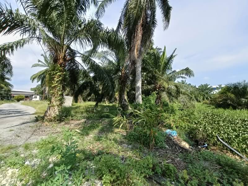 Industrial Land for Sale in Valdor (Sungai Jawi) - Zhonl Saw Boon Loong - PropertyGuru.com.my