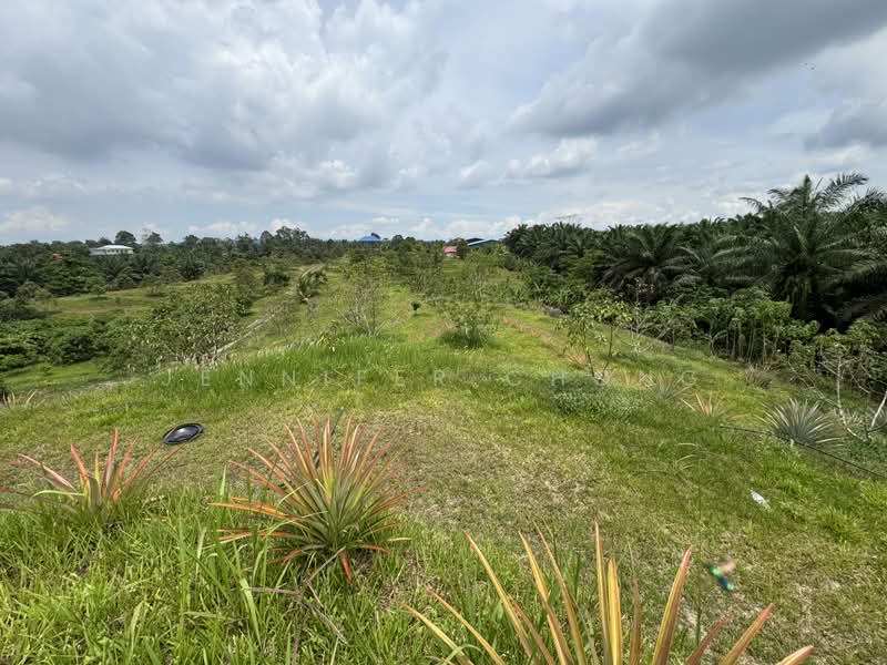 Agricultural Land for Sale in Sandakan (Sabah) - Jennifer Chong - Exterior - PropertyGuru.com.my