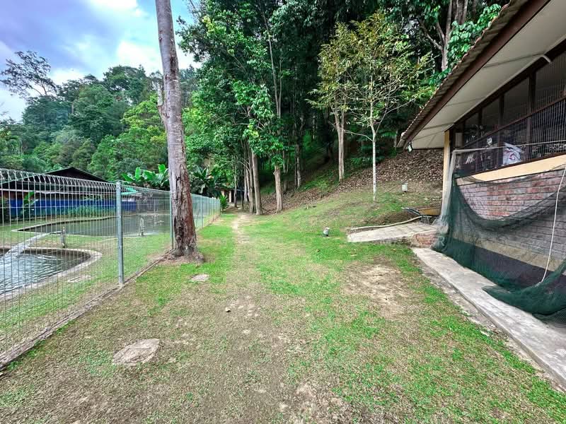 Agricultural Land for Sale in Janda Baik (Bentong) - Mohammad Omar - Exterior - PropertyGuru.com.my