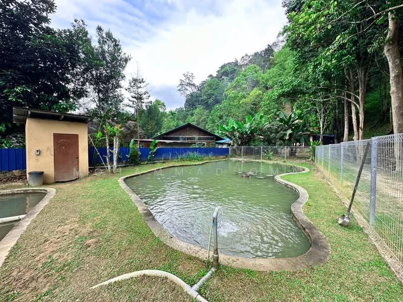 Agricultural Land for Sale in Janda Baik (Bentong) - Mohammad Omar - Exterior - PropertyGuru.com.my