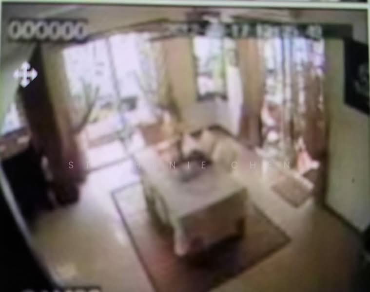 Semi-Detached House for Sale in Seksyen 9 (Kota Damansara) - Stephanie Chen - Living Room - PropertyGuru.com.my