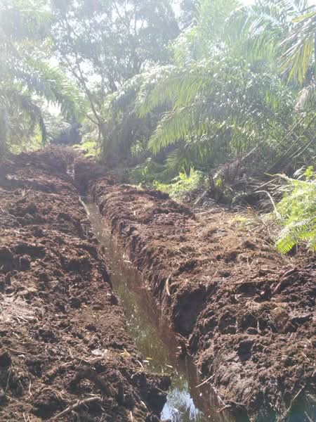 Agricultural Land for Rent in Kampung Ayer Baloi (Ayer Baloi) - Jasz Ong - Exterior - PropertyGuru.com.my