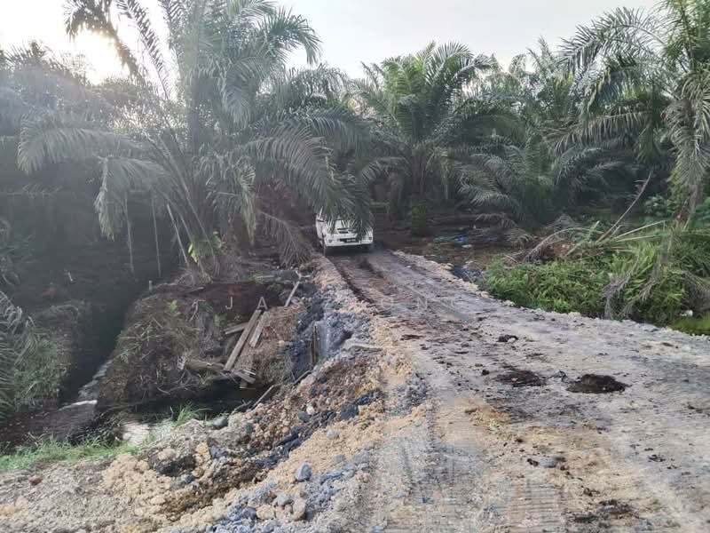 Agricultural Land for Rent in Kampung Ayer Baloi (Ayer Baloi) - Jasz Ong - PropertyGuru.com.my