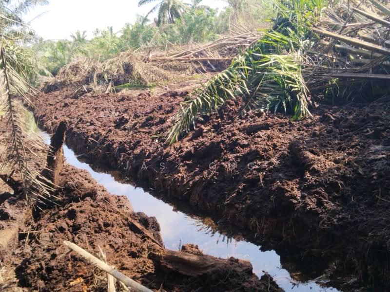 Agricultural Land for Rent in Kampung Ayer Baloi (Ayer Baloi) - Jasz Ong - PropertyGuru.com.my