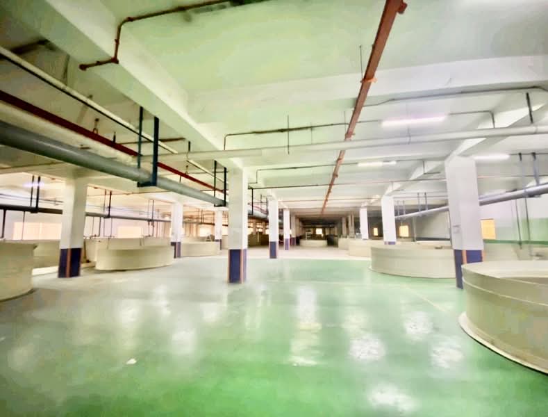 Factory for Rent in Taman Tan Sri Yaacob (Johor Bahru) - Janice . - PropertyGuru.com.my