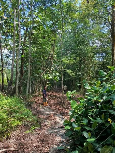 Tanah Pertanian untuk Dijual di Lembah Beringin (Sungai Gumut) - Wong Ye Lien PhD - Exterior - PropertyGuru.com.my