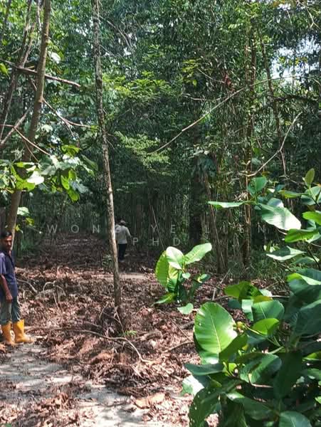 Tanah Pertanian untuk Dijual di Lembah Beringin (Sungai Gumut) - Wong Ye Lien PhD - Exterior - PropertyGuru.com.my