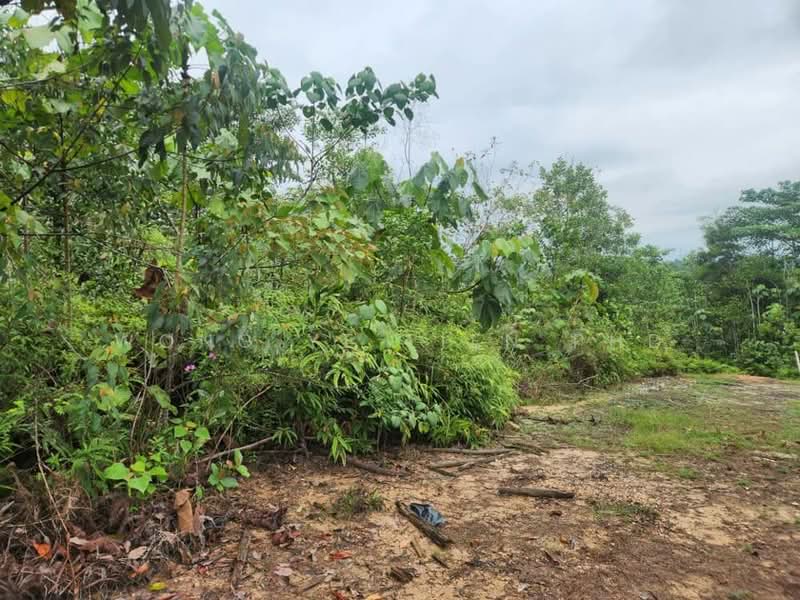 Tanah Pertanian untuk Dijual di Lembah Beringin (Sungai Gumut) - Wong Ye Lien PhD - PropertyGuru.com.my