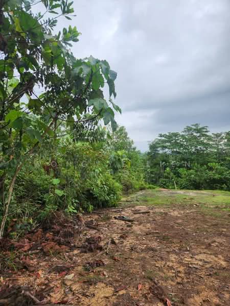 Tanah Pertanian untuk Dijual di Lembah Beringin (Sungai Gumut) - Wong Ye Lien PhD - Exterior - PropertyGuru.com.my