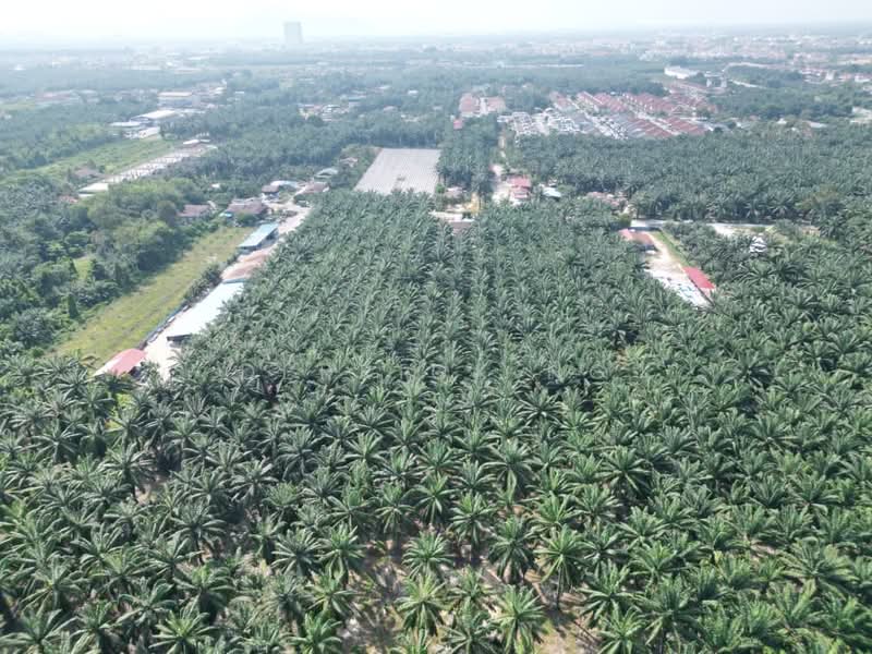 Agricultural Land for Sale in Kampung Cina (Sitiawan) - Derrick Ng - Exterior - PropertyGuru.com.my