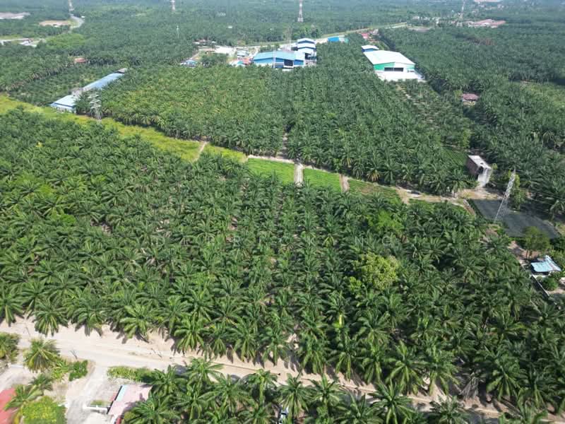 Agricultural Land for Sale in Kampung Cina (Sitiawan) - Derrick Ng - Exterior - PropertyGuru.com.my