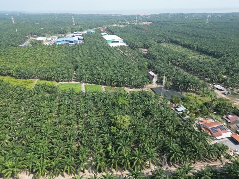 Agricultural Land for Sale in Kampung Cina (Sitiawan) - Derrick Ng - Exterior - PropertyGuru.com.my