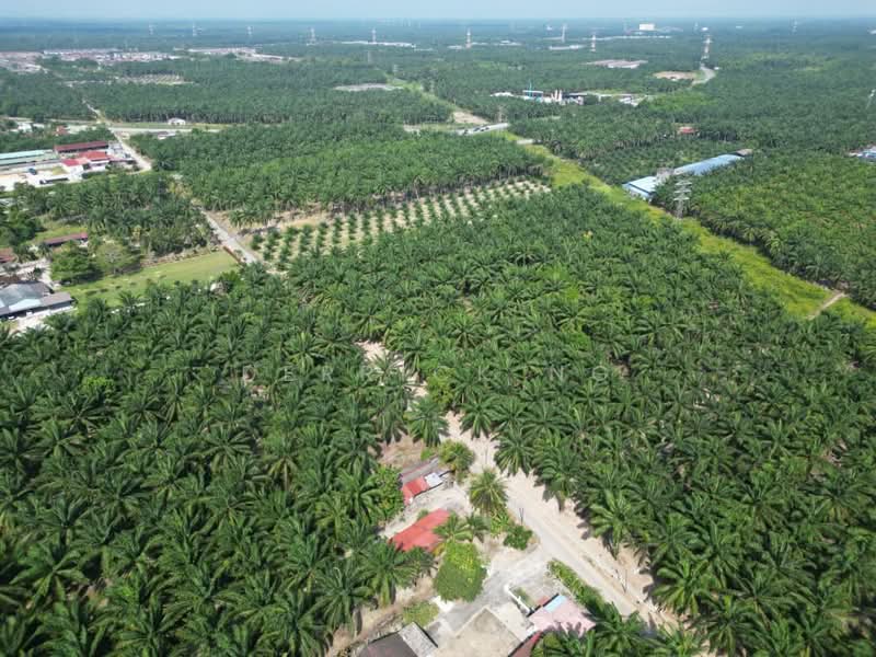 Agricultural Land for Sale in Kampung Cina (Sitiawan) - Derrick Ng - Exterior - PropertyGuru.com.my