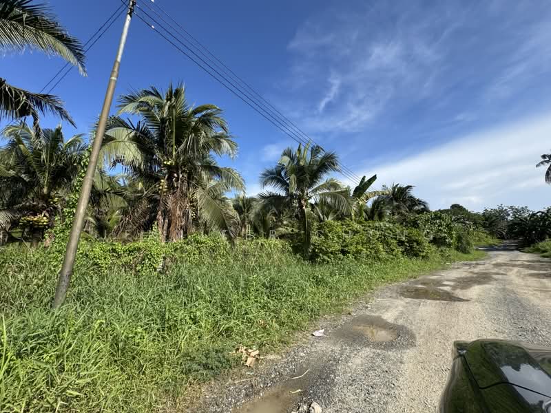 Agricultural Land for Sale in Sandakan (Sabah) - Jennifer Chong - Exterior - PropertyGuru.com.my