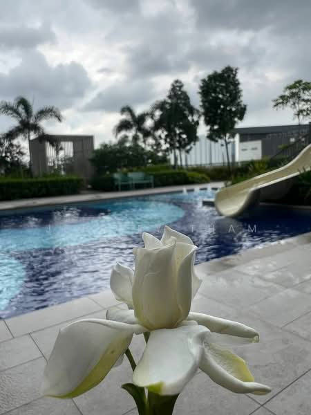 Service Residence for Rent at M Luna - Jeffrey Tham - Pool - PropertyGuru.com.my
