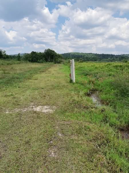 Agricultural Land for Sale in Taman Rahmat Jaya (Rawang) - Sally Anne Khoo Siew bee - PropertyGuru.com.my